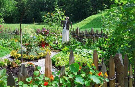 Standorte Für Gemüsegärten